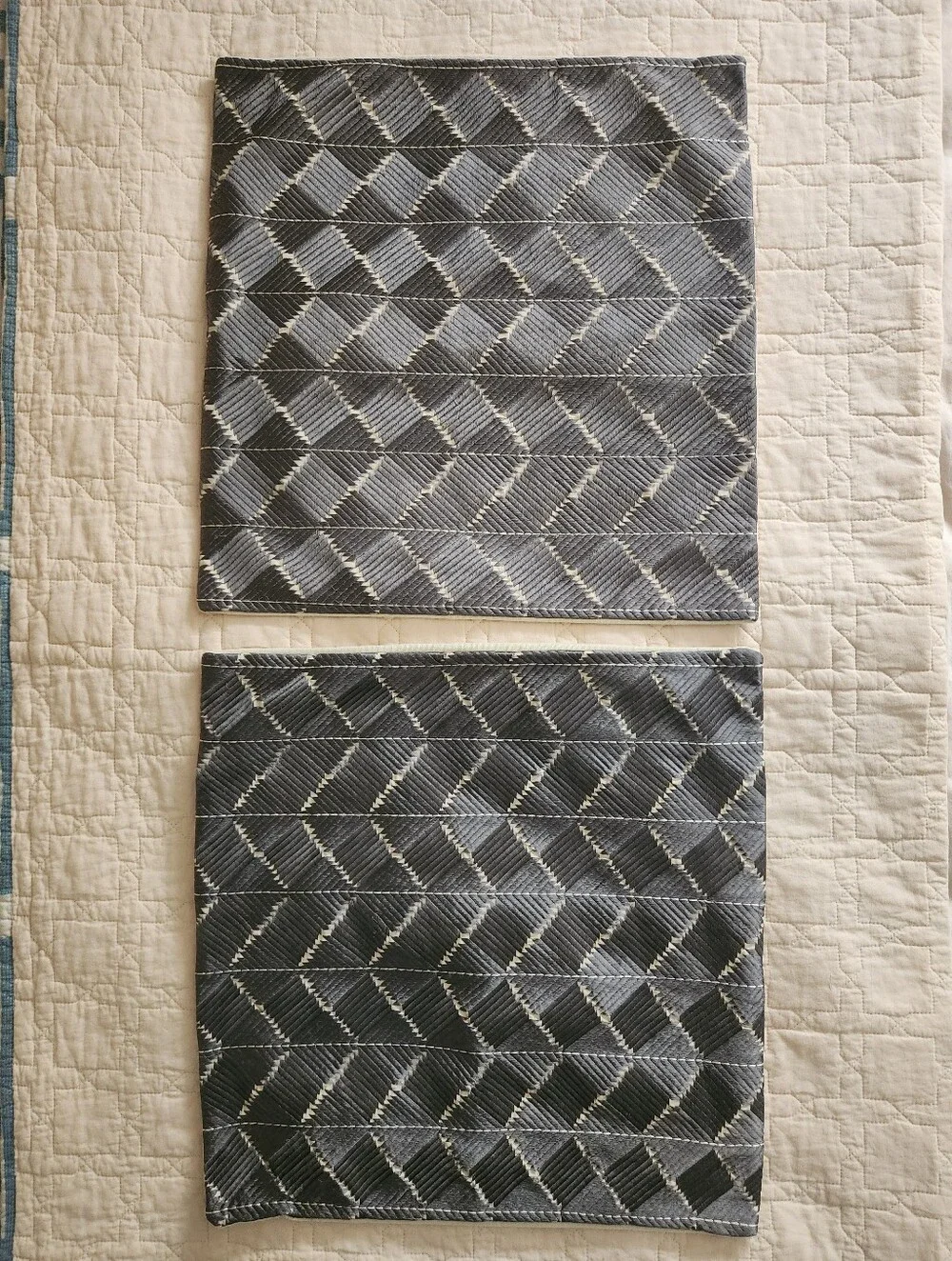 Pottery Barn 18 Inch Pillow Covers Pair